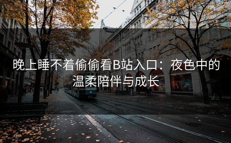 晚上睡不着偷偷看B站入口：夜色中的温柔陪伴与成长
