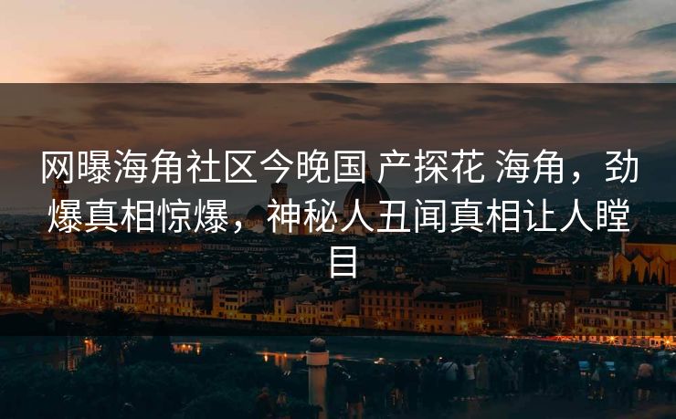 网曝海角社区今晚国 产探花 海角，劲爆真相惊爆，神秘人丑闻真相让人瞠目